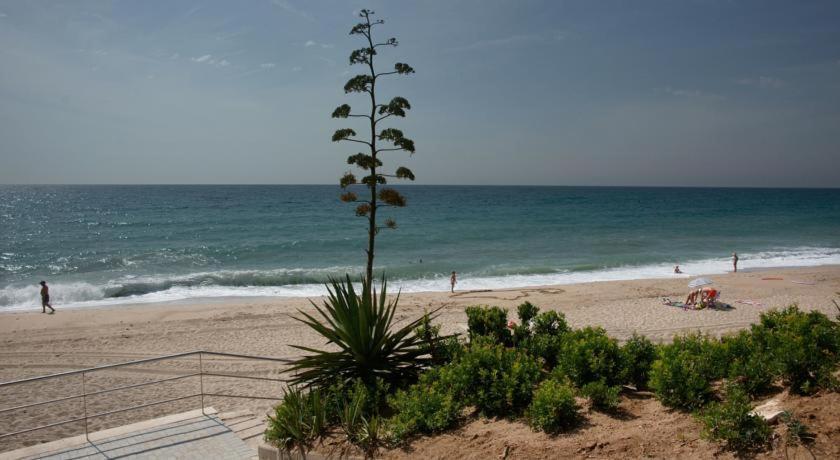 Apart. A-Dorada Miami Playa Daire Dış mekan fotoğraf